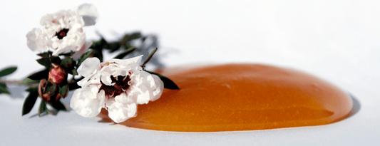 Los 10 mejores tarros de miel de Manuka en 2025