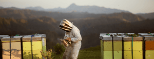 Egmont Honey Reinheit und Nachhaltigkeit - Ein Imker in Neuseeland