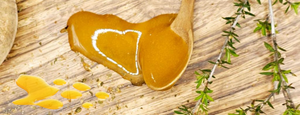 Ist Manuka Honig besser als normaler Honig? Ein vollständiger Leitfaden